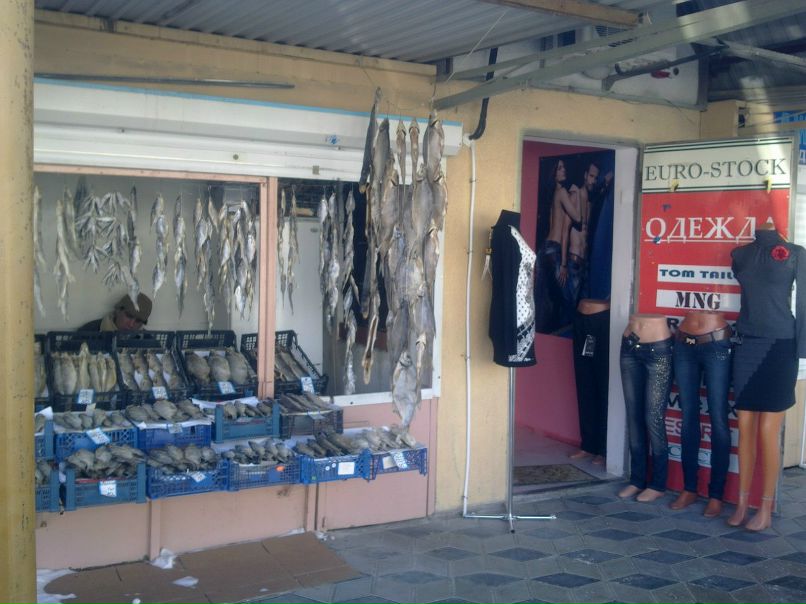 Олеся Стрелецкая | Новороссийск