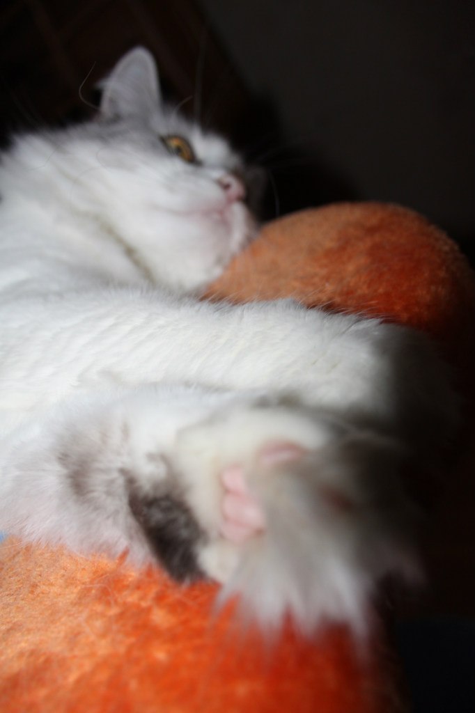 Егор Чистяков | Москва