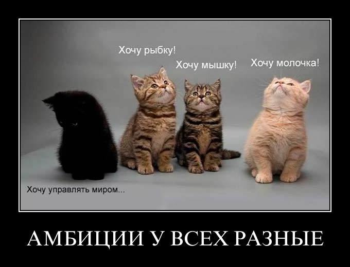 Александр Мамонтов Добрый_фей | Москва