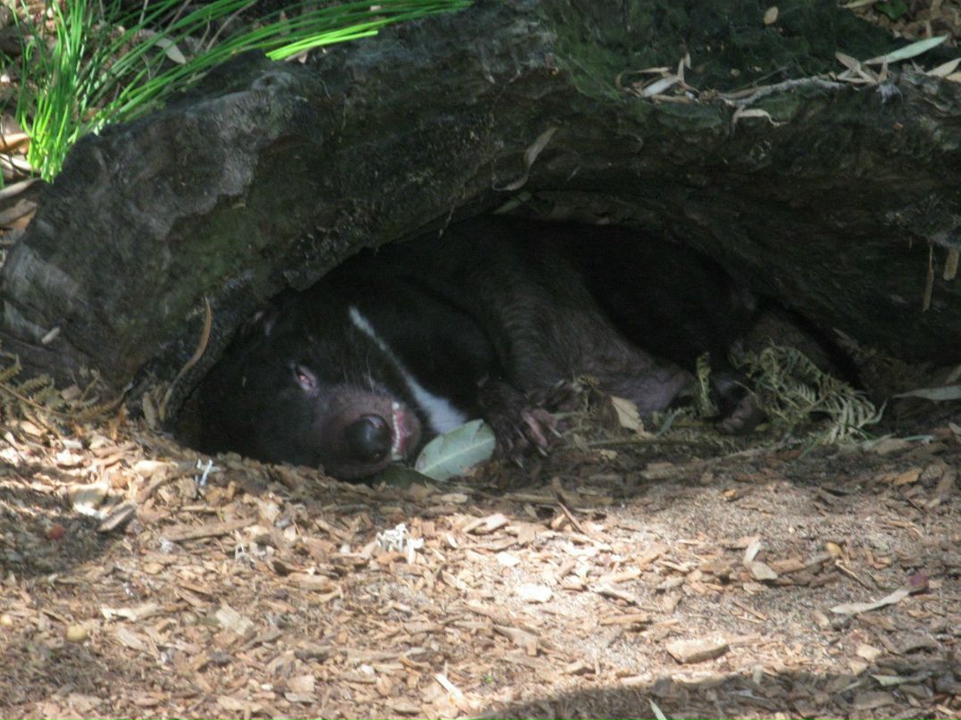 Олжик Аманбаев | Алматы