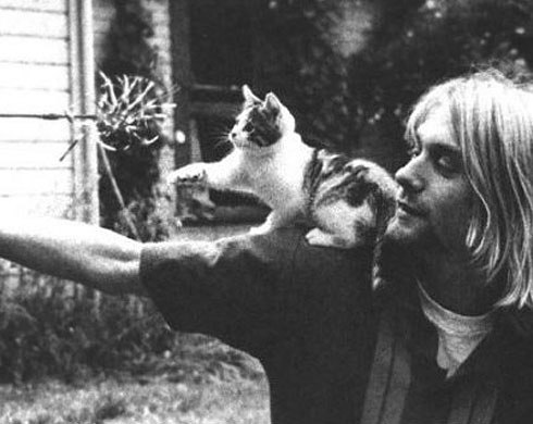 Кристина Дорофеева Амба | Армавир