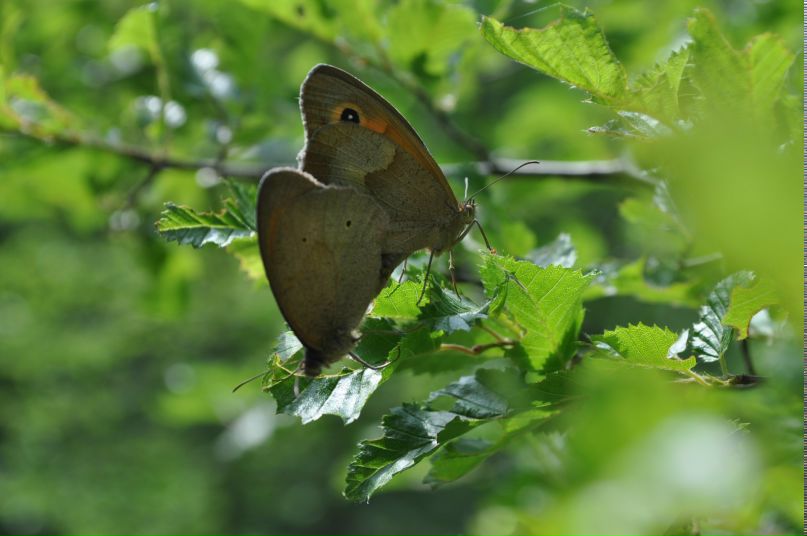 Татьяна Закирова | Севастополь
