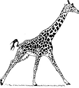 Паша Дубограев | Бердск