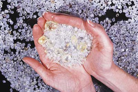 №1, Ната Orhids, Запорожье №1, Ната Orhids, Запорожье