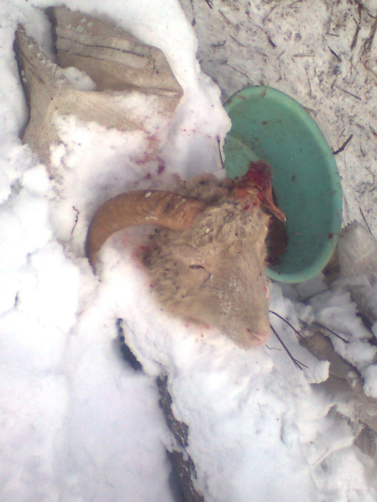 Ямиль Абдуллин | Уфа