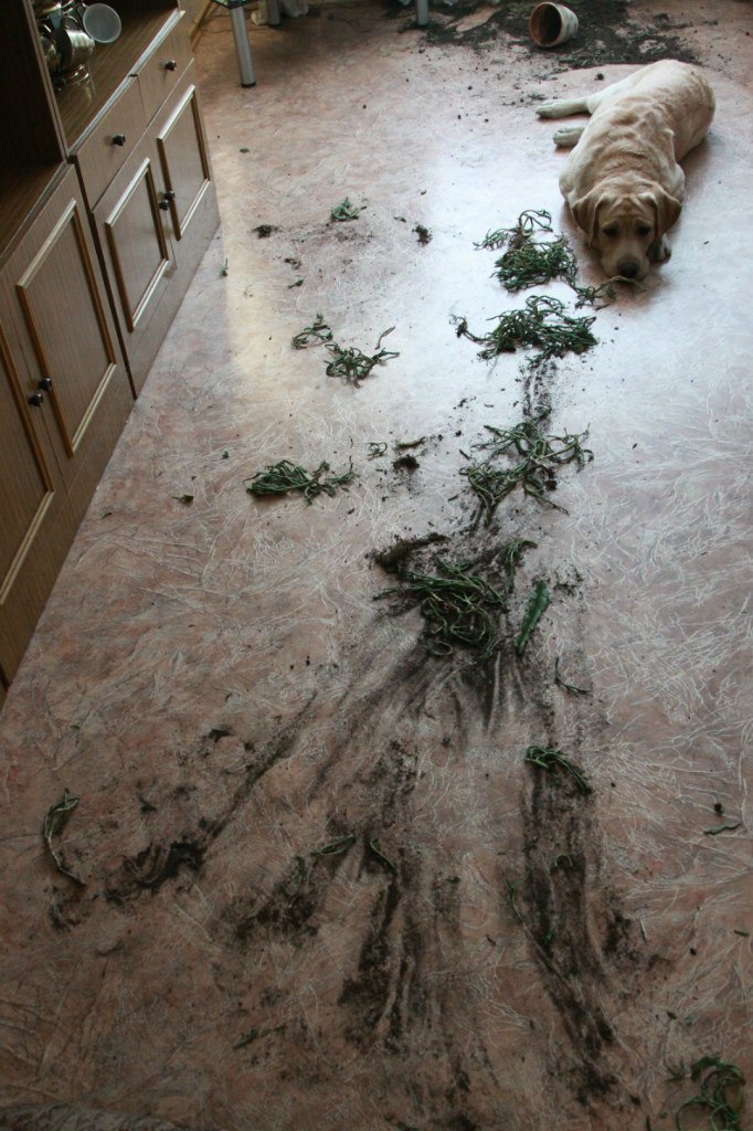 Михаил Масальский Michael | Новосибирск