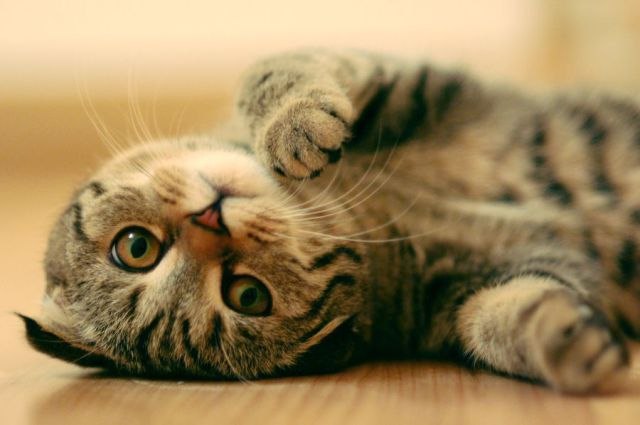 Маша Калабуха | Николаев