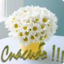 №49, Ольга Малинина, Москва №49, Ольга Малинина, Москва