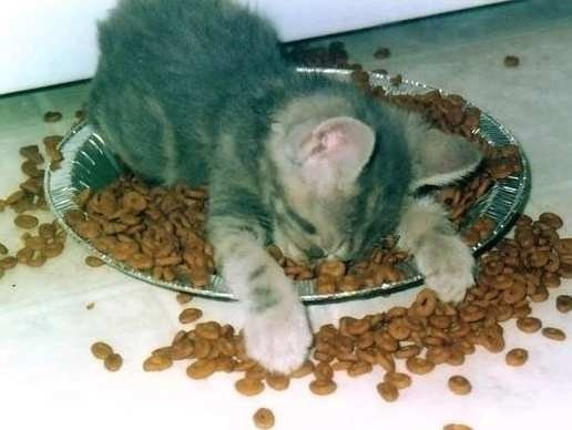 Сергей Naumov | Ульяновск