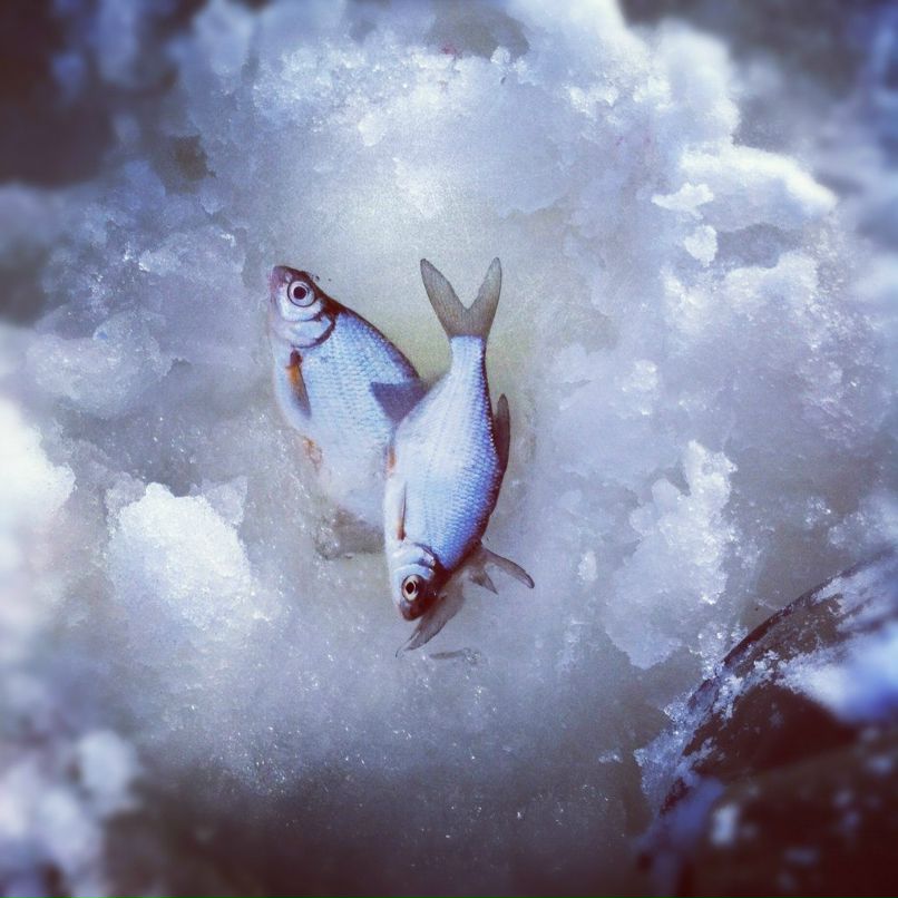 Вова Боровиков | Москва