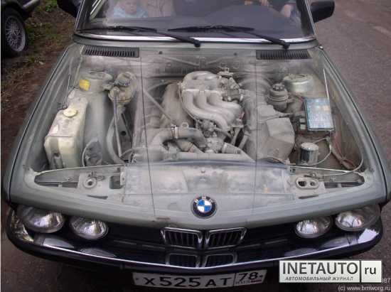 Серёга Ширяев | Николаев