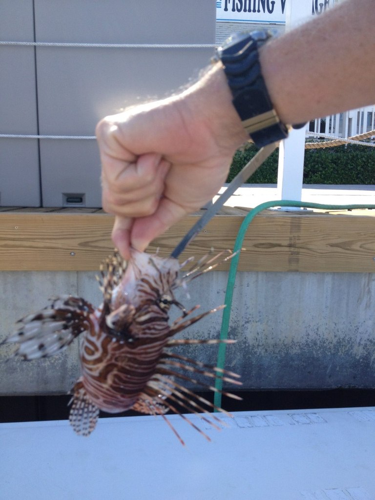 Данила Ильчик | 