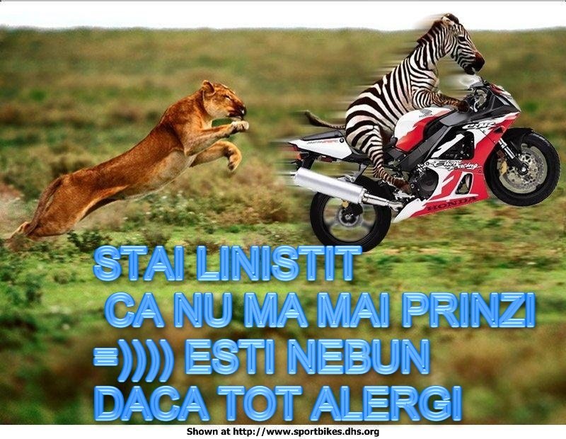 Александр Рыбин | Москва