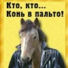 Аватар: Конь В пальто