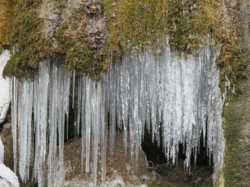 Игорь Баженов | 