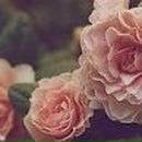 Ангелина Рослова ♥Greeneyes_Angel♥ | Москва