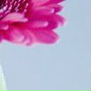 Ангелина Рослова ♥Greeneyes_Angel♥ | Москва