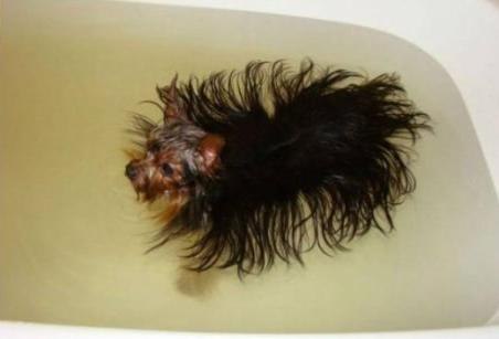 Дмитрий Кузнецов | Санкт-Петербург