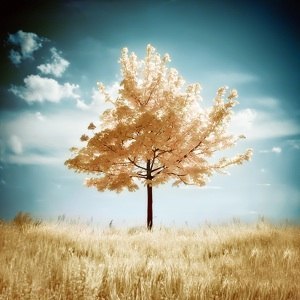 Оля Черник | Минск