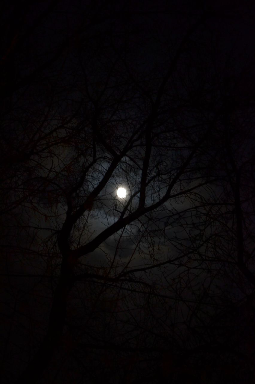 Кирилл Шефф | Уфа