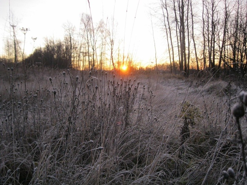 Марина Набиева | Москва