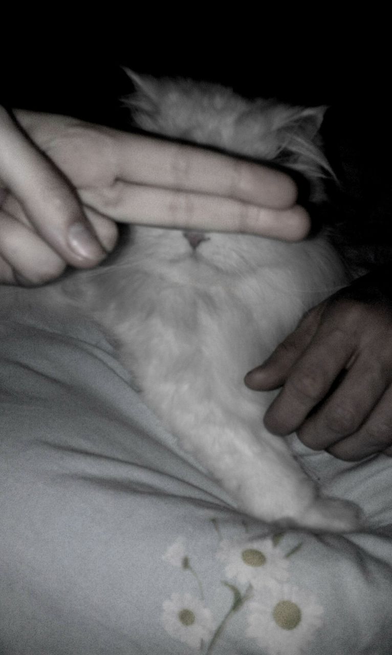 Svetlana Andronnikova ♥ | Москва