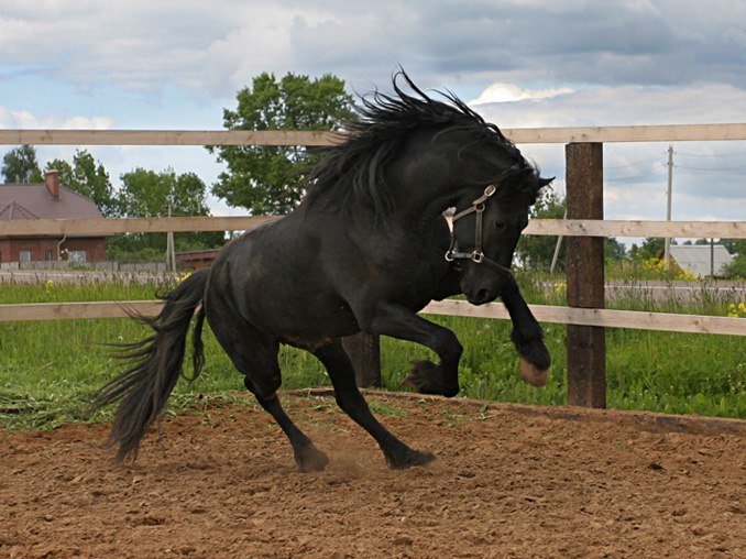 Юлиан Пашовкин | Москва
