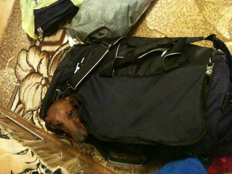 Натали Погребняк | Харьков