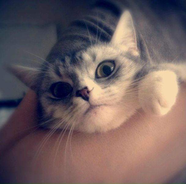 №53, Julia Panfilova, 36 лет №53, Julia Panfilova, 36 лет