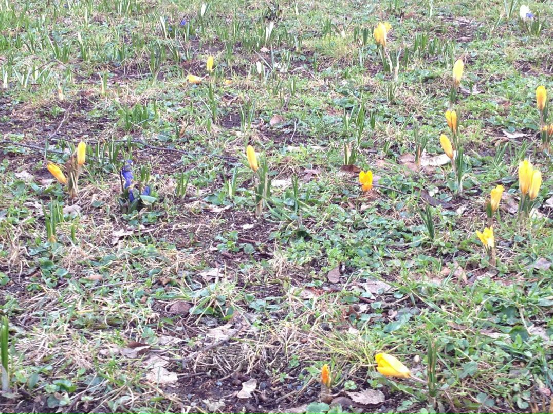 Александра Климашевич | Минск