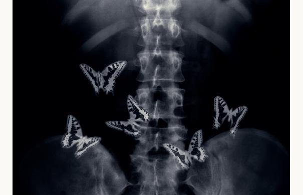 Ирина Язовская | Москва