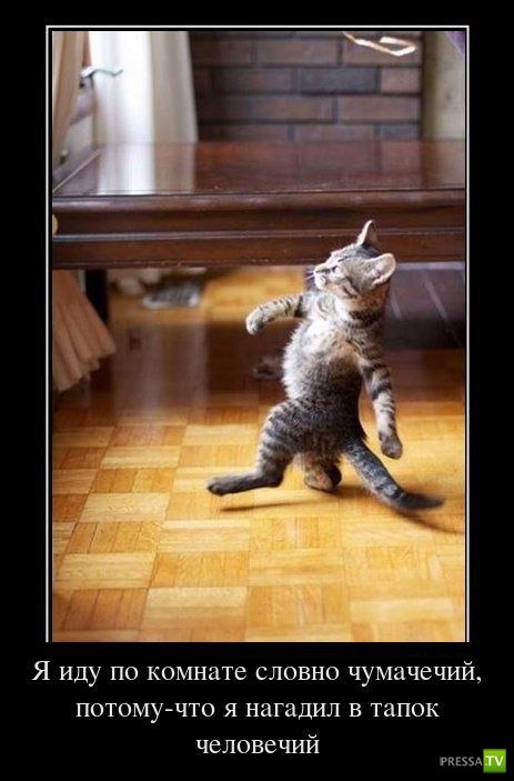 Ирина Петровна | Москва