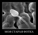 Фотография Жановича Жана