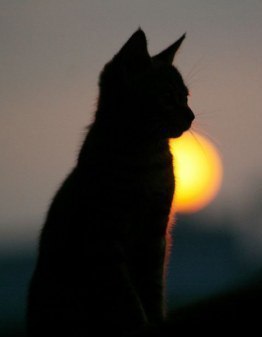 Лена Заинька | Подольск