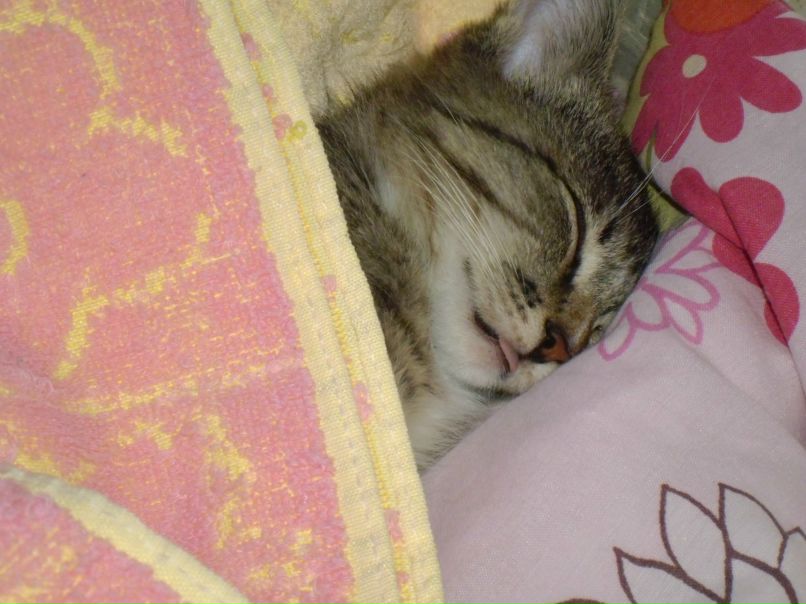 Оля Соболева | Красноярск