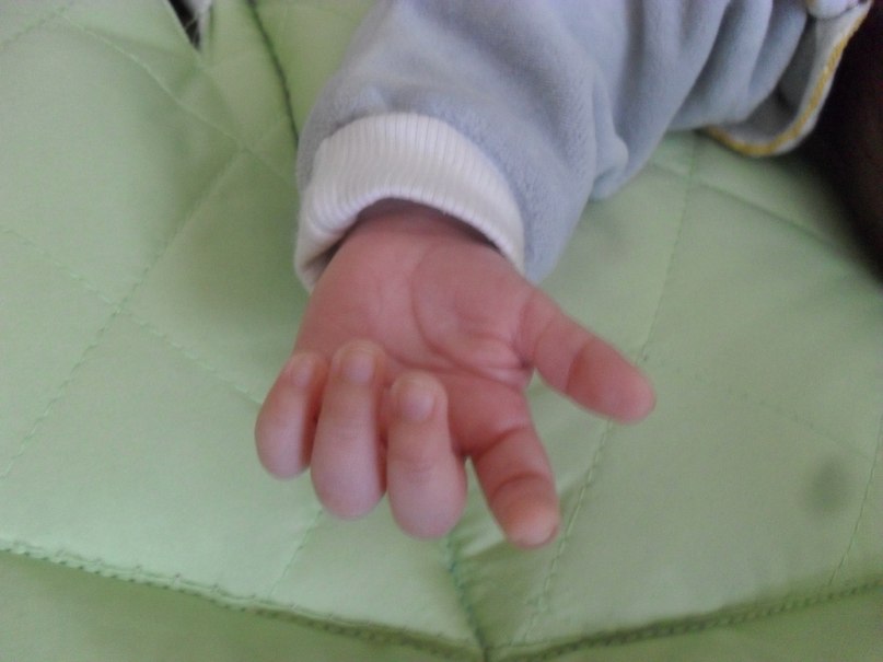 Алёна Смирнова | Венев