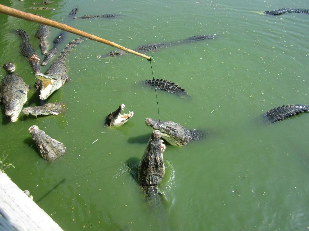 Танюшка Легоньких | Санкт-Петербург