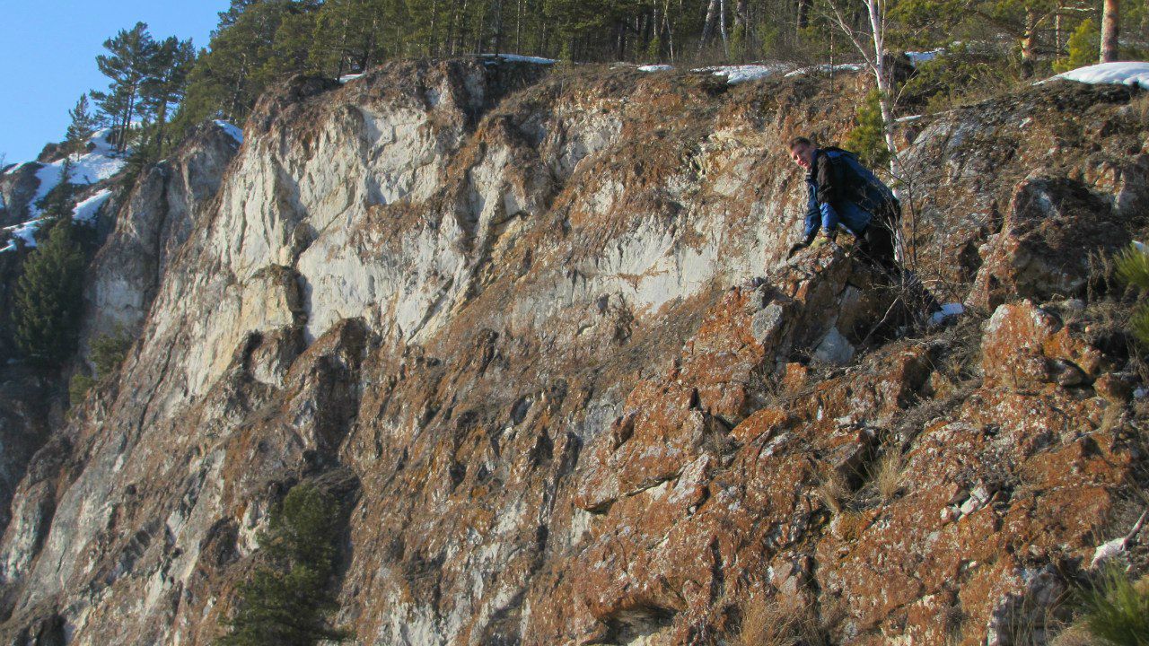 Снежный Мишка ManGo | Красноярск