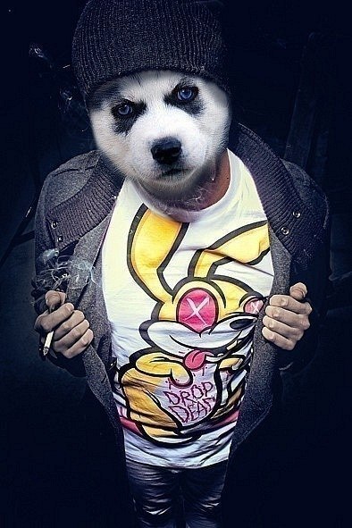 Дмитрий Будников boo | Москва