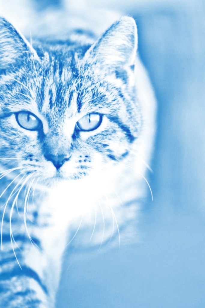 Кирилл Юдин garage3232 | Кемь