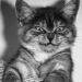 Игорь Бобов фотография #3