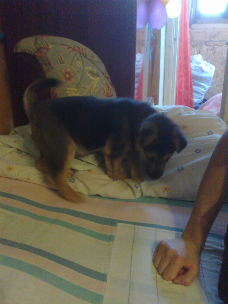 Евгения Булатова | Тамбов