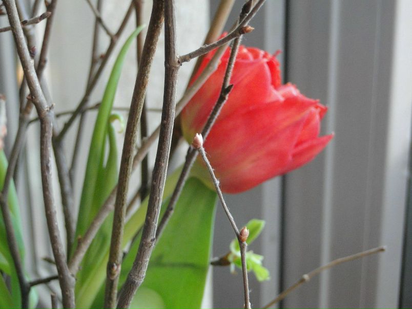 №13, Мария Белявская, Севастополь №13, Мария Белявская, Севастополь