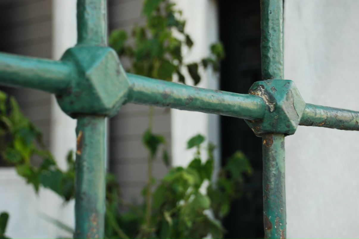 Дарья Сонькина | Москва