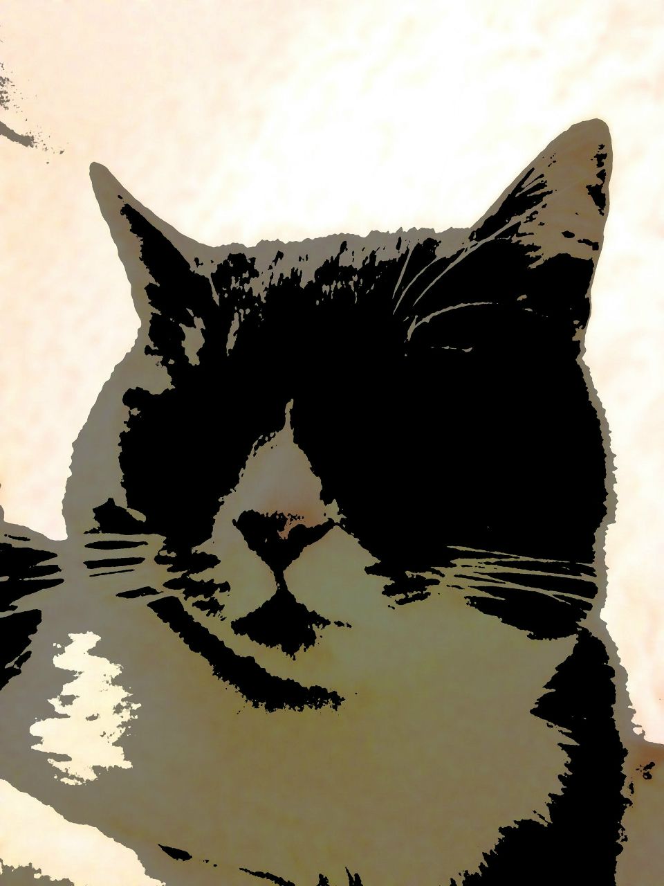 Роман Степан | Москва