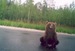 Александр ***** фотография #24 (источник - https://vk.com/id92403787)
