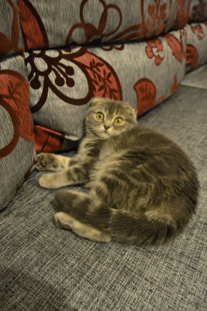 Маша Басова | Екатеринбург