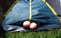 №24 Алексей Грибов 28.08.1986: профиль, фото, статус - ВКонтакте