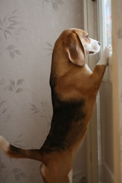 №4, Светлана Яшина, 37 лет, Нижний Новгород №4, Светлана Яшина, 37 лет, Нижний Новгород