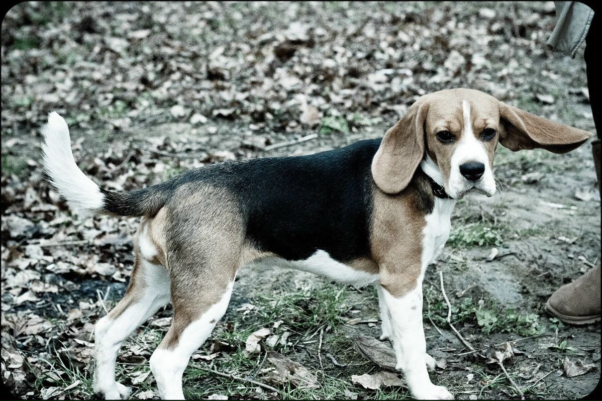 Саня Бойченко | Львов